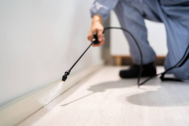 Licensed Fumigation Services service in Lincroft, NJ - Nex Pest Control