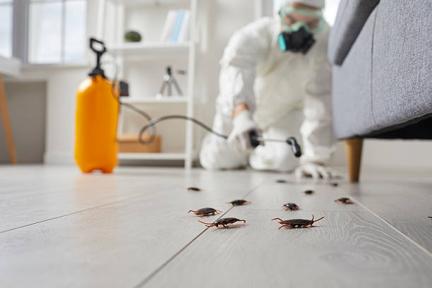 Trusted Termite Control service in Lincroft, NJ - Nex Pest Control